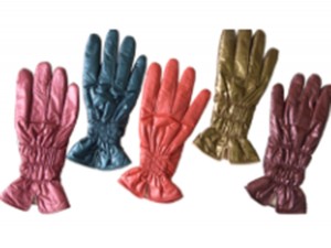 gloves-HB0814005